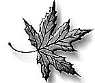 image6t.gif (11792 bytes)